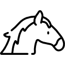 Hemp Supplements for Horses