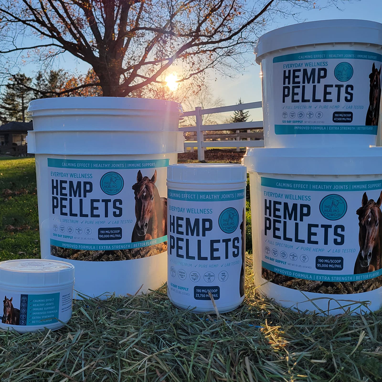 Everyday Wellness Pellets