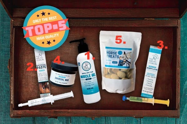 What’s in your tack box? Top 5 Most Packed Items!