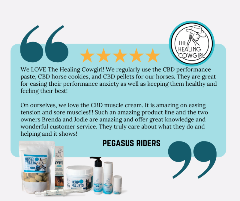 Pegasus Riders Review of our CBD Horse Treats