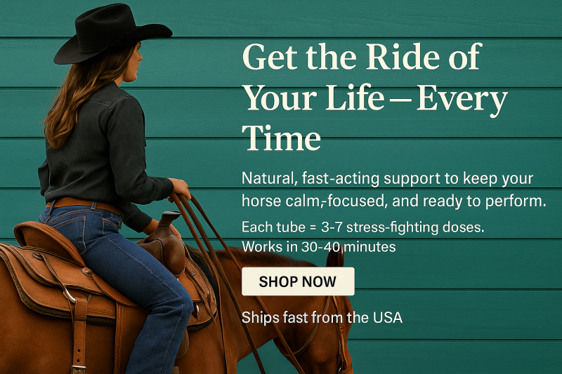 performance paste get the ride of your life every time
