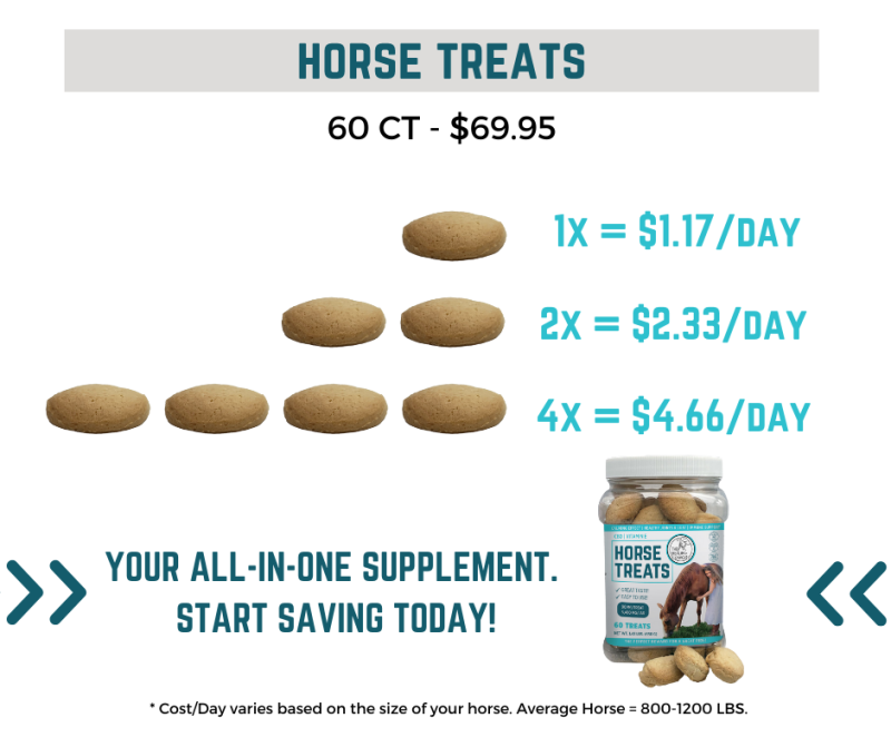 Supplement Costs/Day for Horse Treats