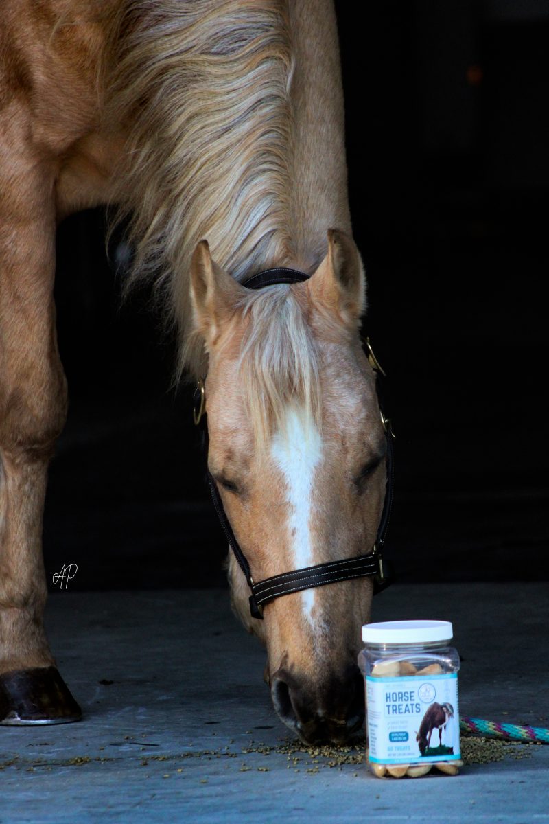 CBD Horse Treats – Calm & Joint Support