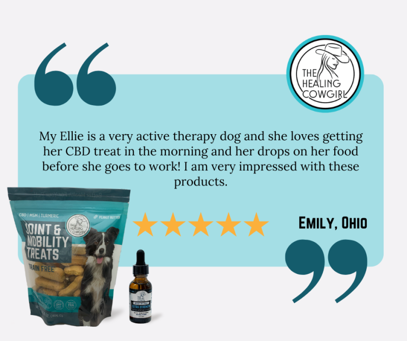Dog Lover's Bundle Review with Dog Treats & Broad Spectrum Oil