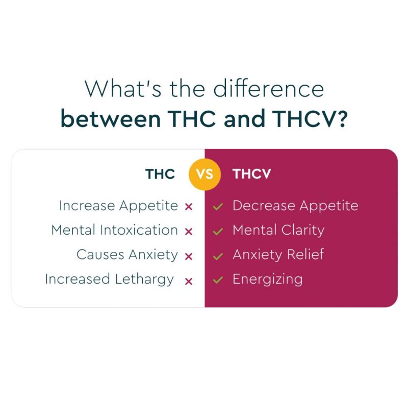 What's the difference between THC and THCV?