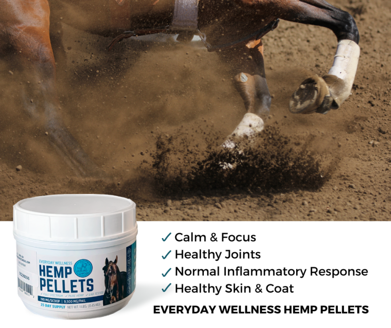 Healing Benefits of our Everyday Wellness Pellets