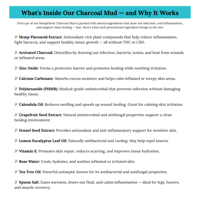 Whats Inside Our Charcoal Mud — and Why It Works