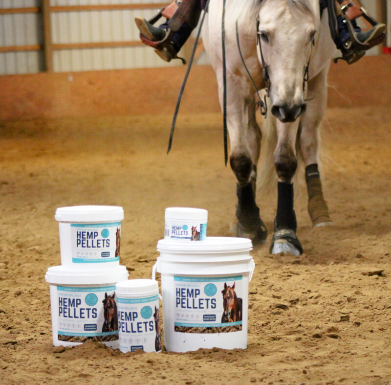 Our Everyday Wellness Hemp Pellets for Horses help your horse's perform at their BEST!