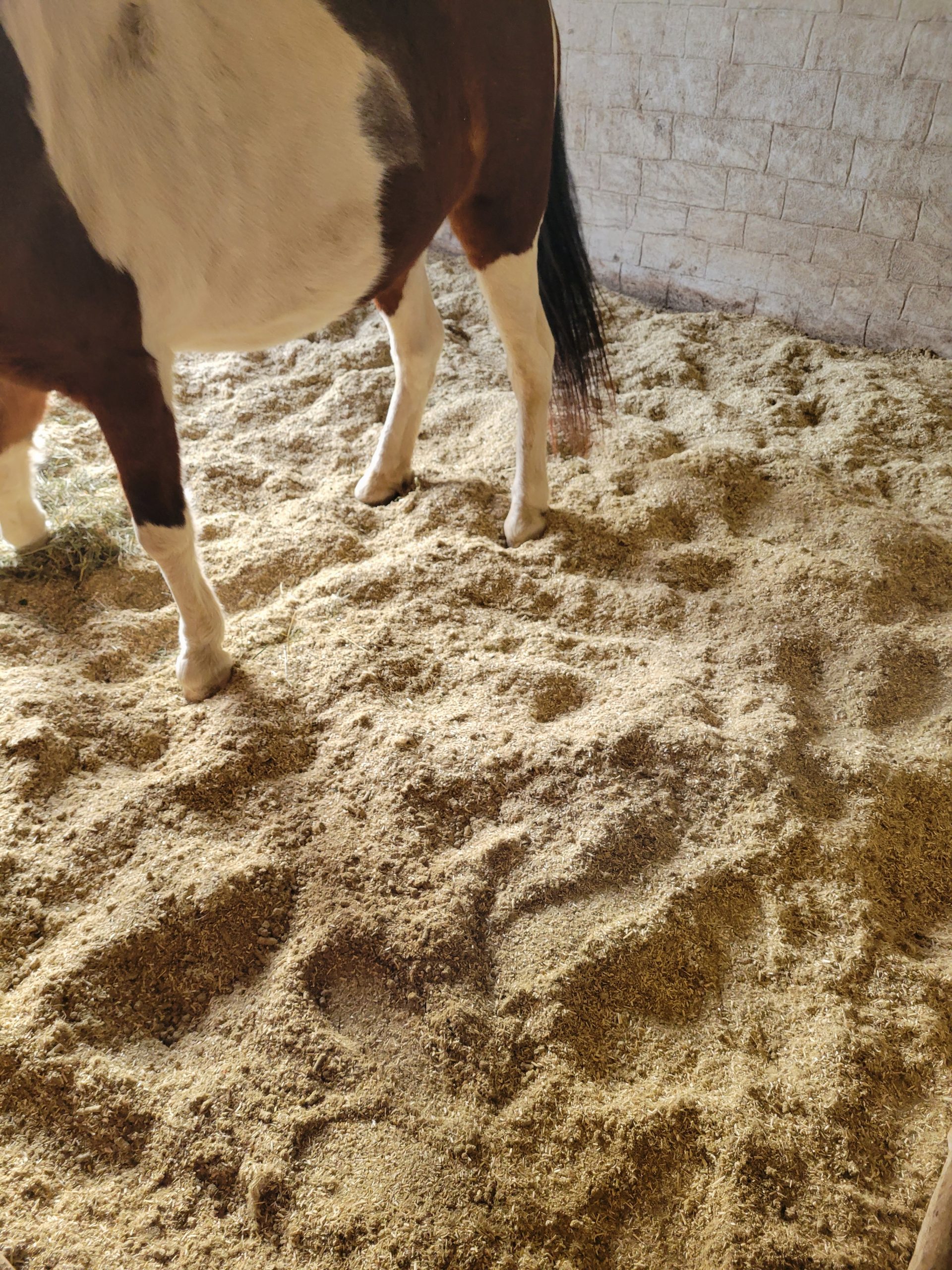 Hemp Bedding For Horses, Chickens, & Other Livestock