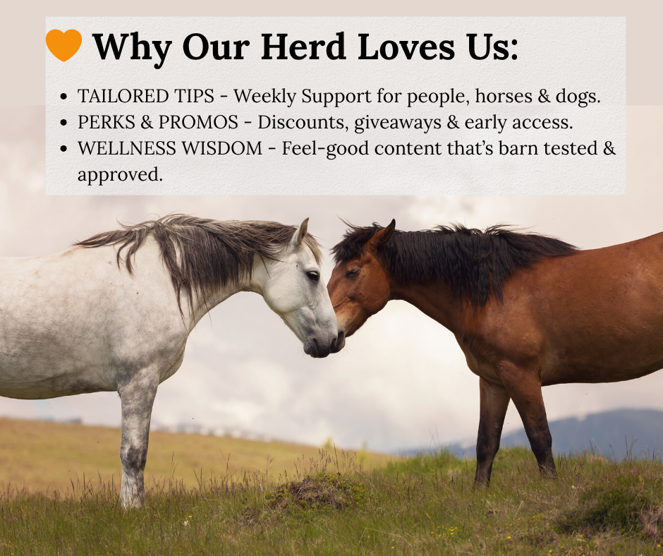 three bullets highlighting wellness tips, exclusive promos, and natural support for people, horses, and dogs from The Healing Cowgirl email list.