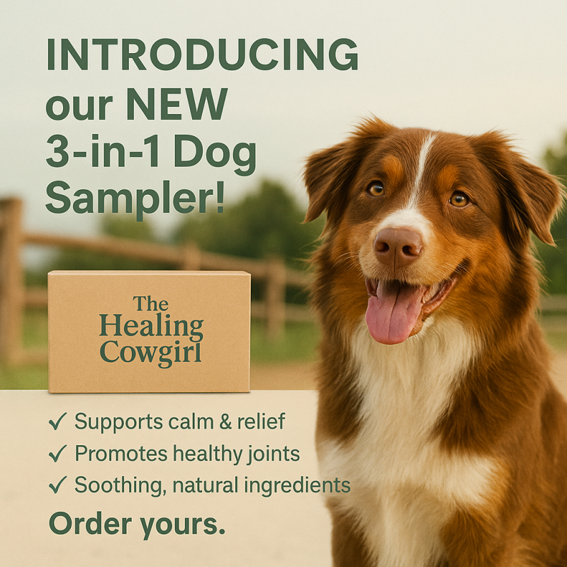 3 in 1 dog sampler introduction